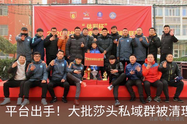 平台出手！大批莎头私域群被清理，饭圈乱象整治，全网纷纷叫好